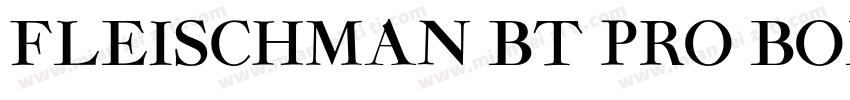 Fleischman BT Pro Bold字体转换